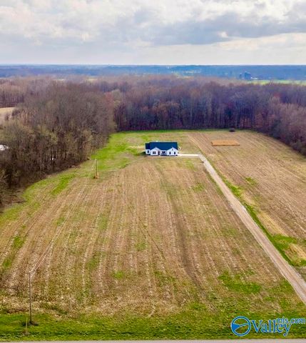 64 Elliot Road, Ardmore, TN 38449