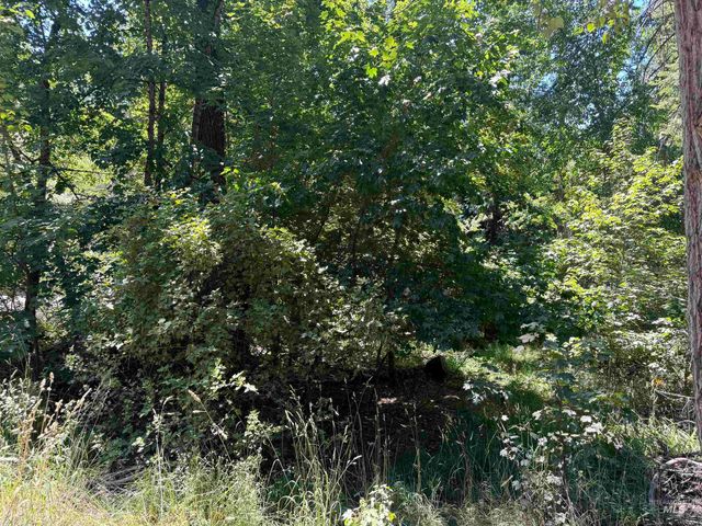 187 Deer Creek Rd, Orofino, ID 83544