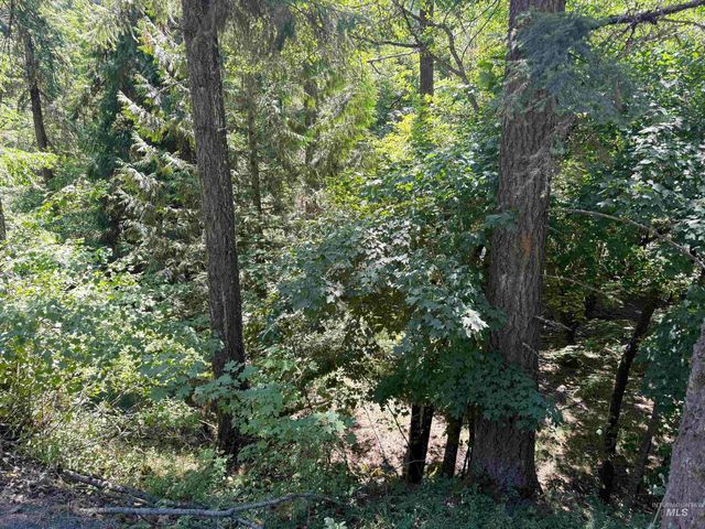 187 Deer Creek Rd, Orofino, ID 83544