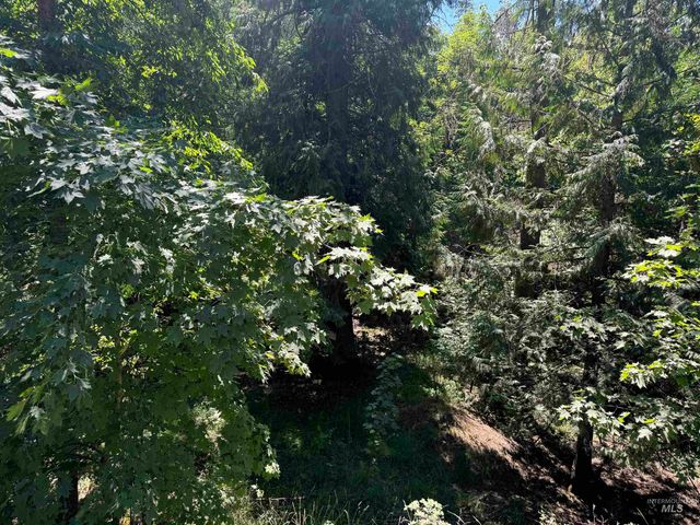 187 Deer Creek Rd, Orofino, ID 83544