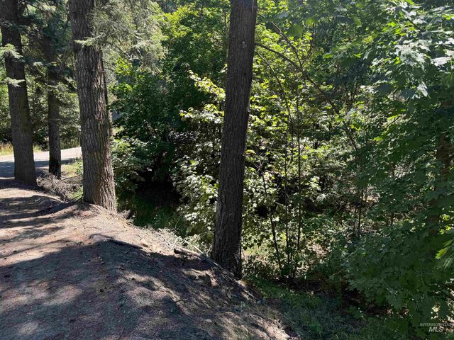 187 Deer Creek Rd, Orofino, ID 83544