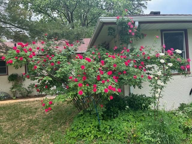 1892 Pascal Street, Falcon Heights, MN 55113