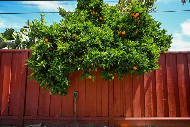 San Junipero Drive, Sunnyvale, CA 94085