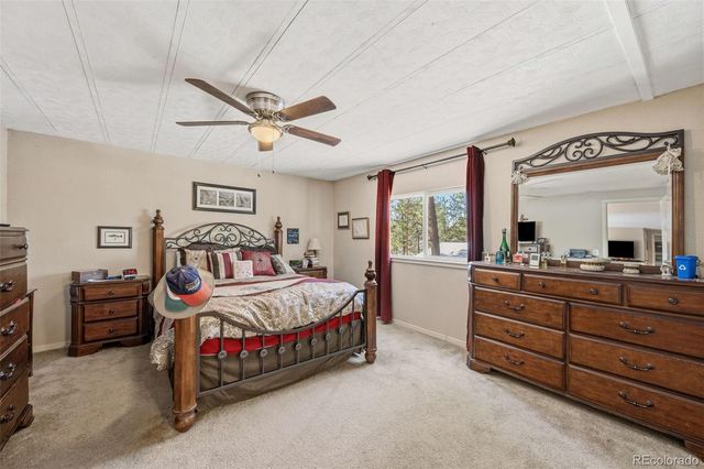 1299 Pikes Peak Drive, Florissant, CO 80816