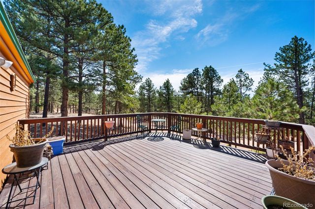 1299 Pikes Peak Drive, Florissant, CO 80816