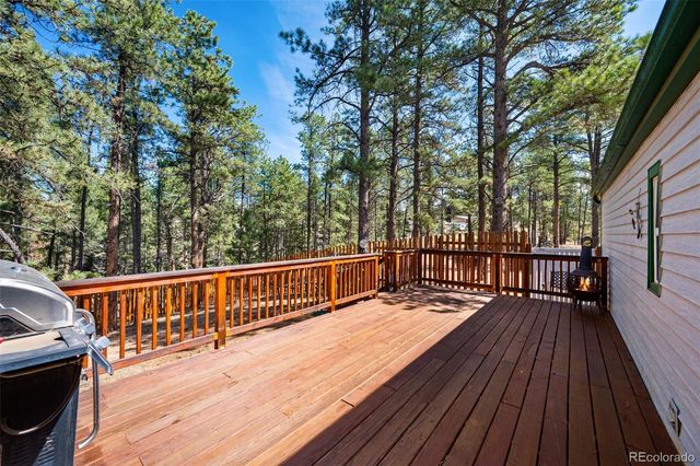 1299 Pikes Peak Drive, Florissant, CO 80816