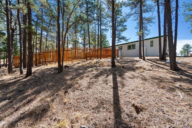 1299 Pikes Peak Drive, Florissant, CO 80816