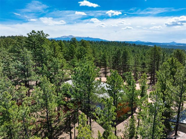 1299 Pikes Peak Drive, Florissant, CO 80816