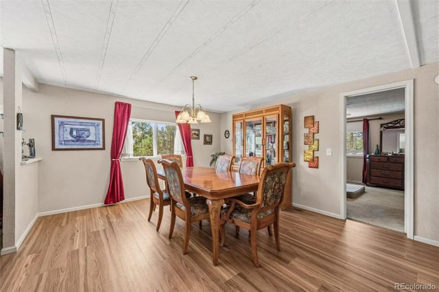 1299 Pikes Peak Drive, Florissant, CO 80816
