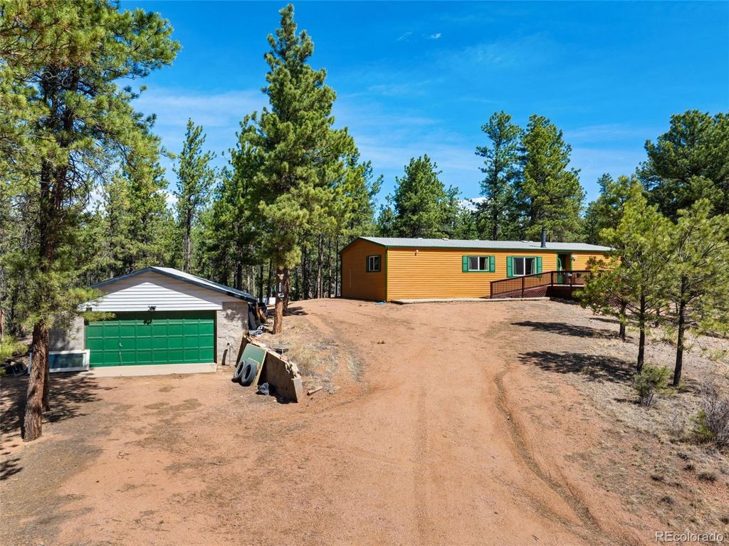 1299 Pikes Peak Drive, Florissant, CO 80816