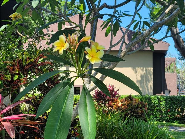 10755 VILLAGE CLUB CIRCLE N 101, St Petersburg, FL 33716