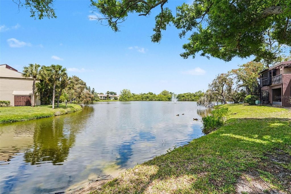 Image 27 of property listing at 10755 VILLAGE CLUB CIRCLE N 101, St Petersburg, FL 33716