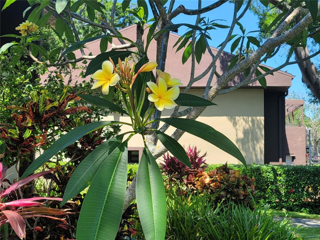 Image 30 of property listing at 10755 VILLAGE CLUB CIRCLE N 101, St Petersburg, FL 33716