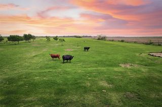 8007 County Road 170, Alvin, TX 77511
