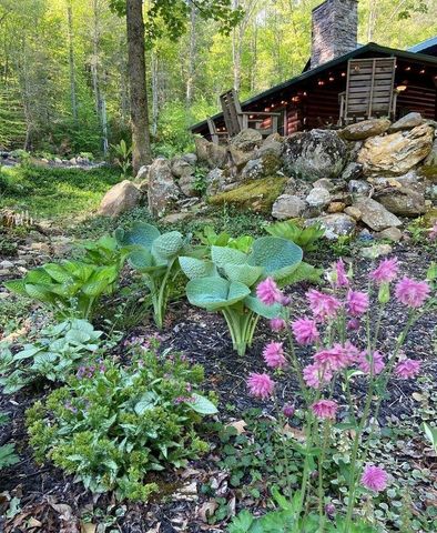 480 Holder Cemetery Road, Tellico Plains, TN 37385