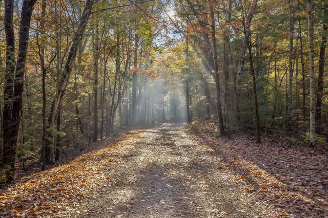 480 Holder Cemetery Road, Tellico Plains, TN 37385