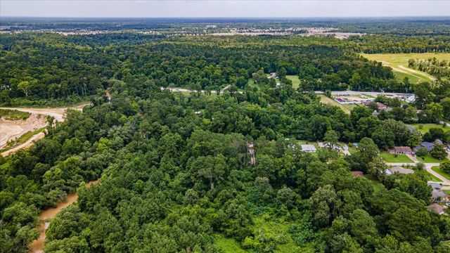0 Alpestrine Dr, New Caney, TX 77357