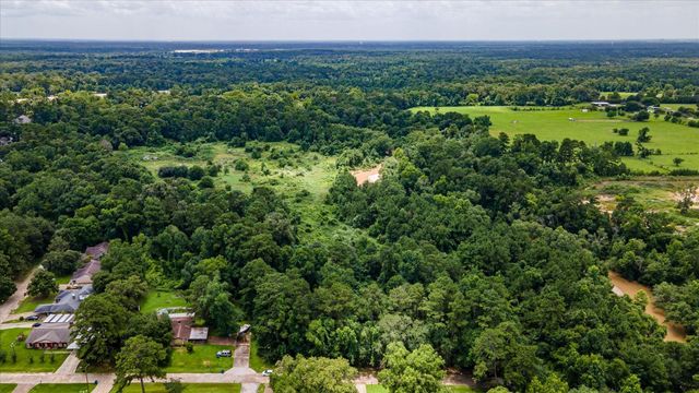 0 Alpestrine Dr, New Caney, TX 77357