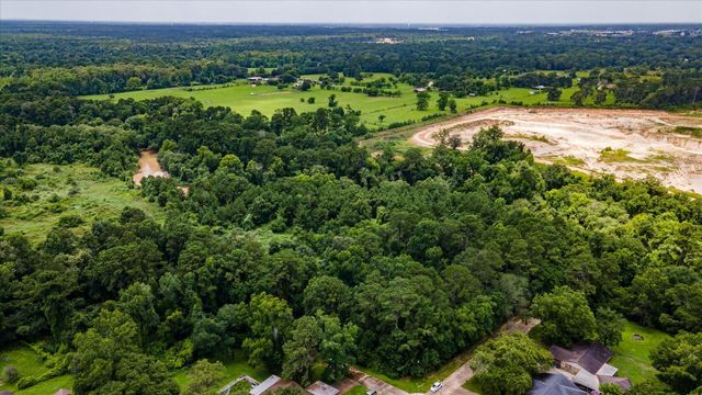 0 Alpestrine Dr, New Caney, TX 77357