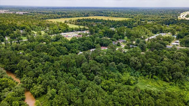 0 Alpestrine Dr, New Caney, TX 77357