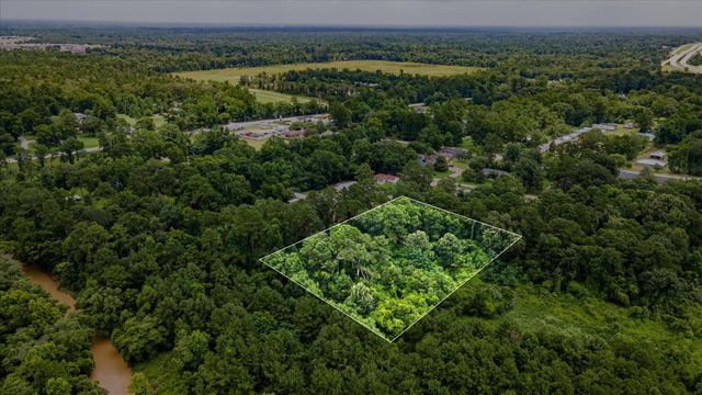 0 Alpestrine Dr, New Caney, TX 77357