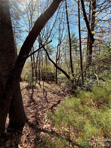 400 Emerald Hills Drive, Penrose, NC 28766