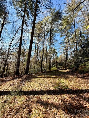 400 Emerald Hills Drive, Penrose, NC 28766