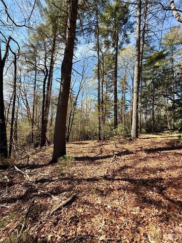 400 Emerald Hills Drive, Penrose, NC 28766