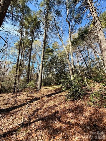 400 Emerald Hills Drive, Penrose, NC 28766