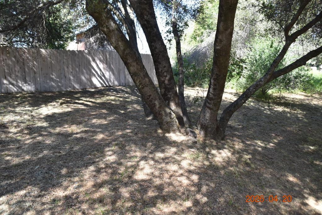 Image 25 of property listing at 54016 Road 200, North Fork, CA 93643