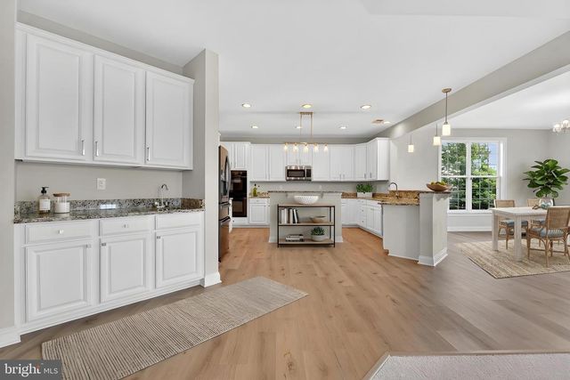 16546 LANCE TRAIL CT, Hamilton, VA 20158