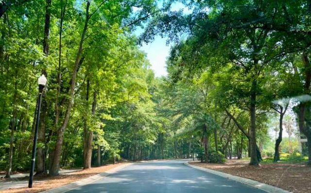 1025 Riverland Woods Place 423, Charleston, SC 29412