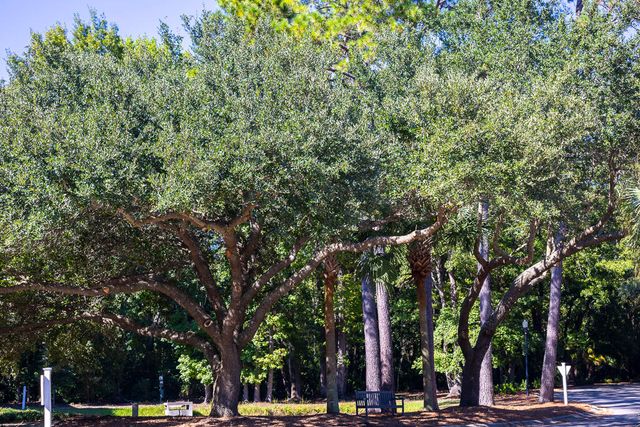 1025 Riverland Woods Place 423, Charleston, SC 29412