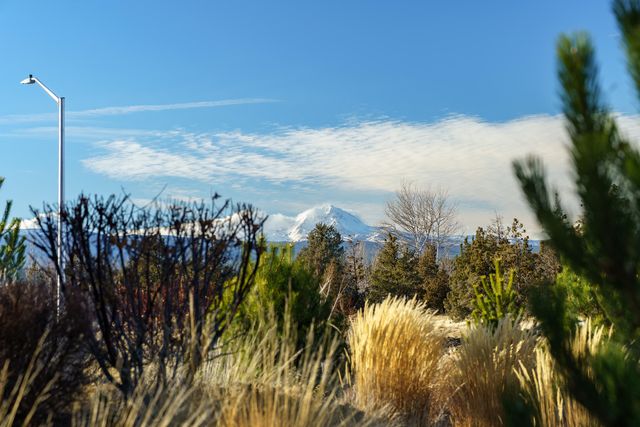 3859 NE Oakside Lp, Bend, OR 97701