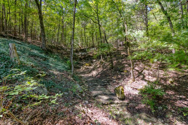 211 River Bend Road, Branson, MO 65616