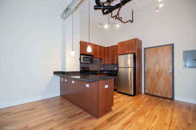 1791 W Howard Street 204, Chicago, IL 60626