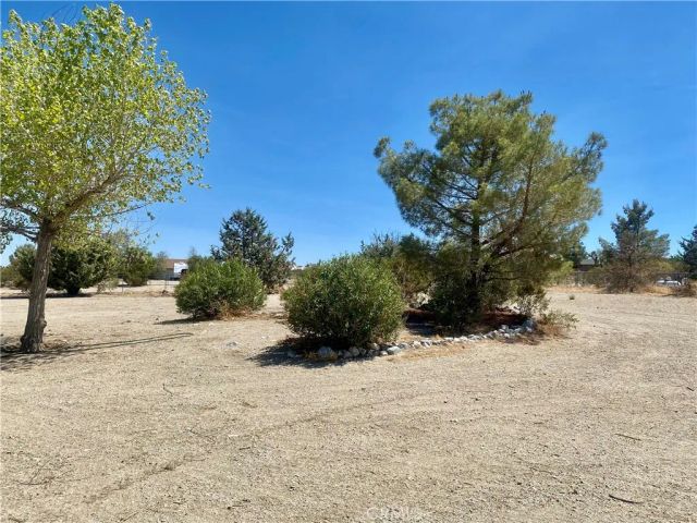 11226 Ponderosa Road, Pinon Hills, CA 92372