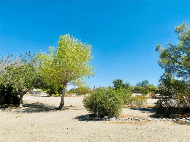 11226 Ponderosa Road, Pinon Hills, CA 92372