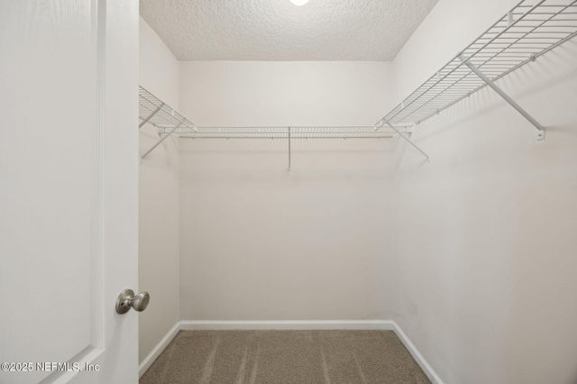 2362 RED MOON Drive, Jacksonville, FL 32216