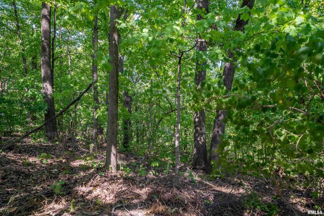 3563 W SAYMORE Lane, Peoria, IL 61615