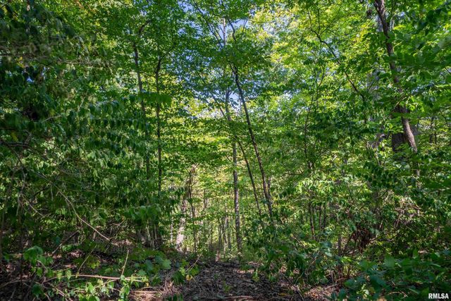 3563 W SAYMORE Lane, Peoria, IL 61615