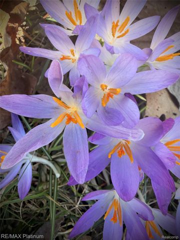 2555 E Cohoctah Road, Deerfield Township, MI 48855