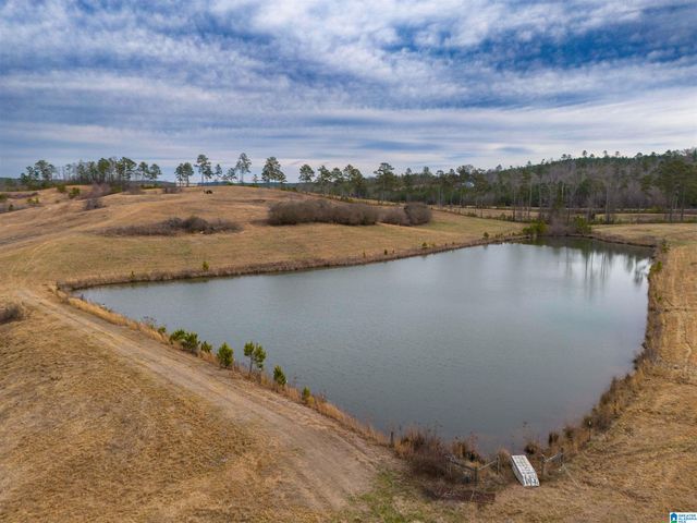 COUNTY ROAD 15, Wedowee, AL 36278