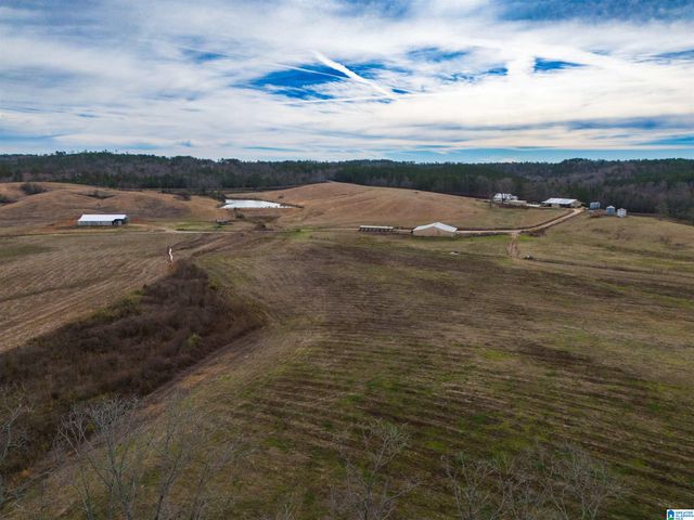 COUNTY ROAD 15, Wedowee, AL 36278