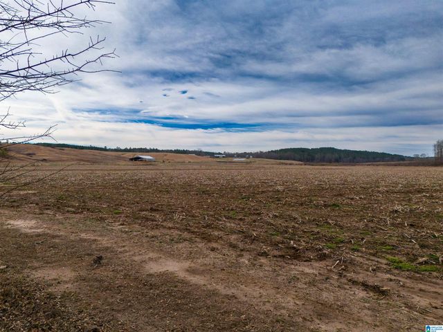 COUNTY ROAD 15, Wedowee, AL 36278