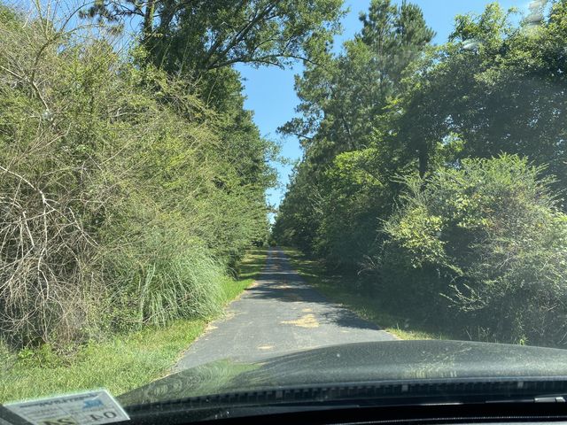 190 Charles Pl, Deridder, LA 70634