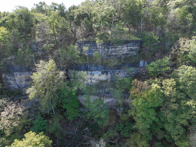 162 Bunny Lane, Cedarcreek, MO 65627