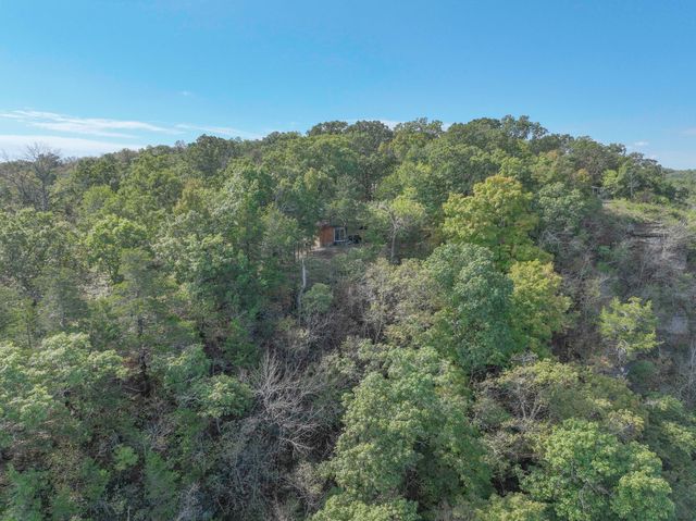 162 Bunny Lane, Cedarcreek, MO 65627