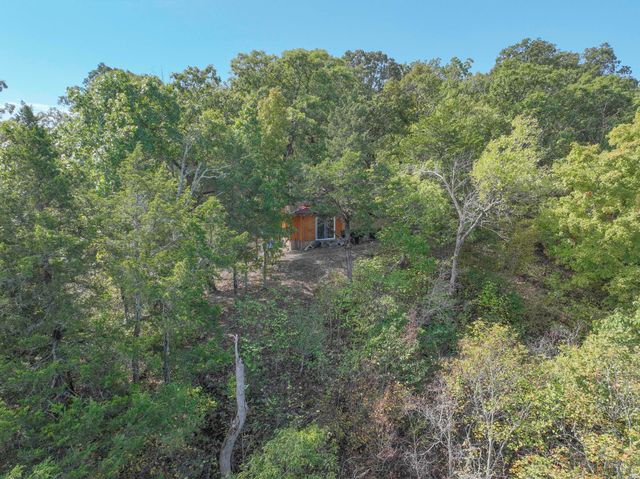 162 Bunny Lane, Cedarcreek, MO 65627