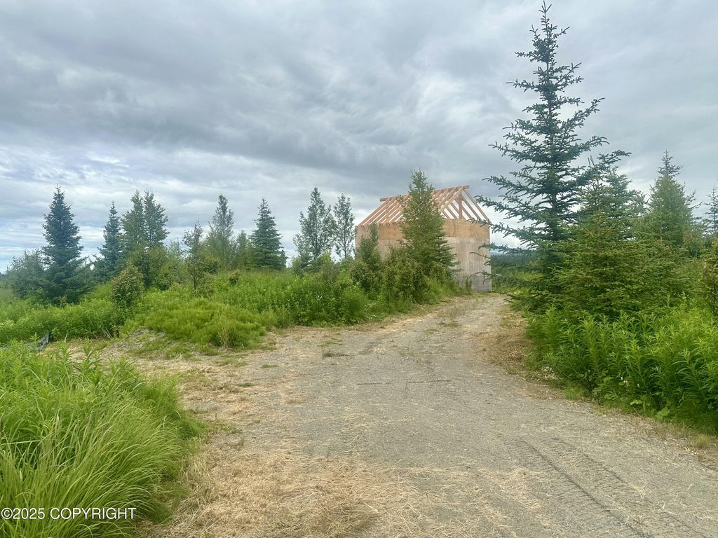 31056 Hannah Rene Road, Anchor Point, AK 99556